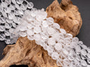Natural Milky White Quartz Star Cut Disc Beads, 10mm disc, Natural Quartz beads, Natural Crystal Stone, Full Strand, DS018