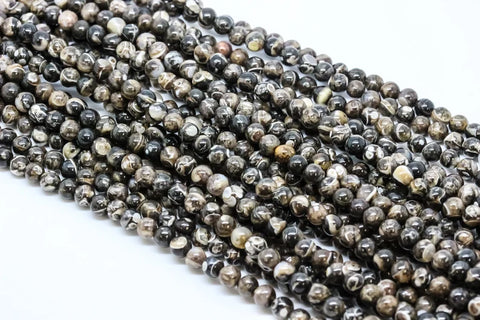 Turritella Agate Round Beads