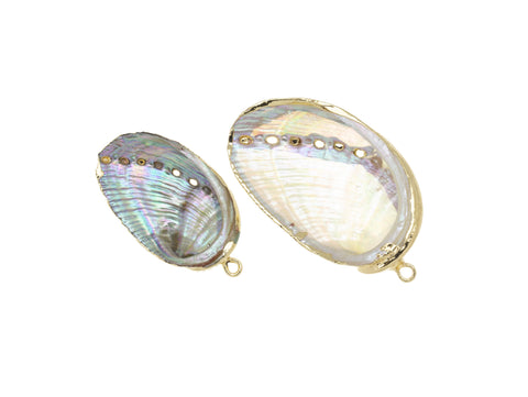 Natural Abalone Shell Charm,Natural Sea Shell Charm,Natural Sea Shell Charm, 1pc,5pcs,10 pcs,20pcs,CPG733