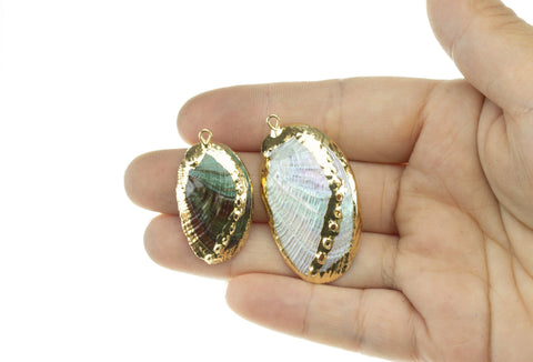 Natural Abalone Shell Charm,Natural Sea Shell Charm,Natural Sea Shell Charm, 1pc,5pcs,10 pcs,20pcs,CPG733