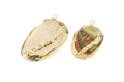 Natural Abalone Shell Charm,Natural Sea Shell Charm,Natural Sea Shell Charm, 1pc,5pcs,10 pcs,20pcs,CPG733