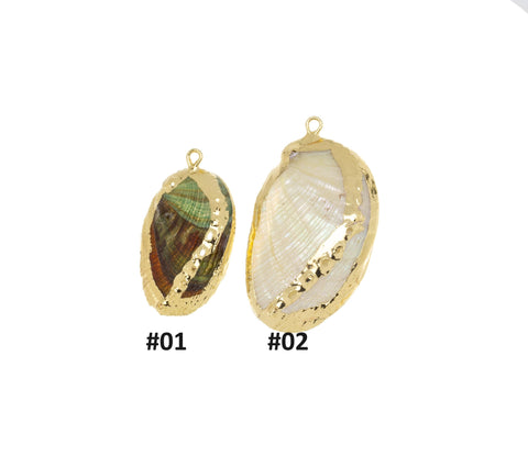 Natural Abalone Shell Charm,Natural Sea Shell Charm,Natural Sea Shell Charm, 1pc,5pcs,10 pcs,20pcs,CPG733