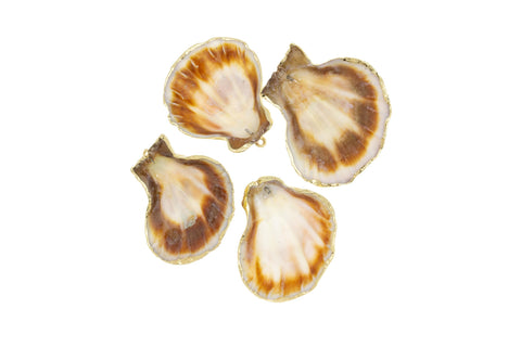 Natural Large Scallop Shell Charm,Sea Shells For Wind Chime And Jewelry Making,Natural Shell  Charm,Wholesale 1pc,5pcs or 10 pcs,,CPG736