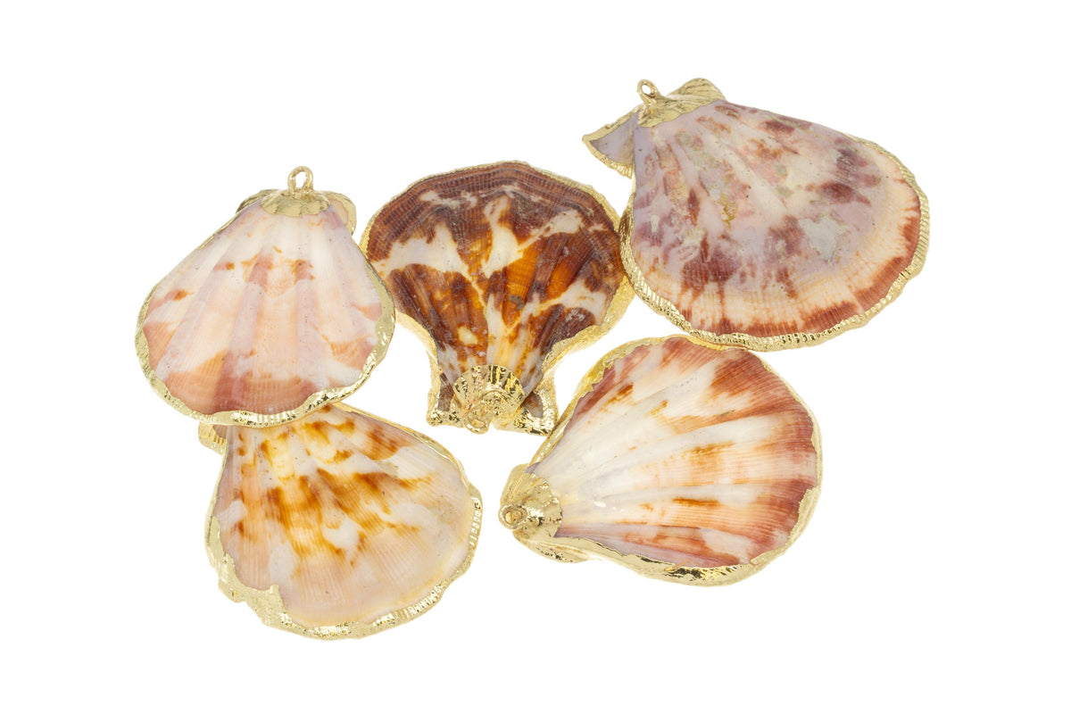 Natural Large Scallop Shell Charm,Sea Shells For Wind Chime And Jewelry Making,Natural Shell  Charm,Wholesale 1pc,5pcs or 10 pcs,,CPG736