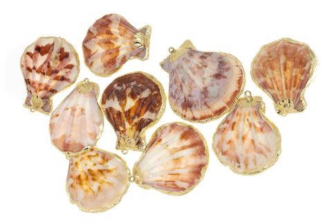 Natural Large Scallop Shell Charm,Sea Shells For Wind Chime And Jewelry Making,Natural Shell  Charm,Wholesale 1pc,5pcs or 10 pcs,,CPG736