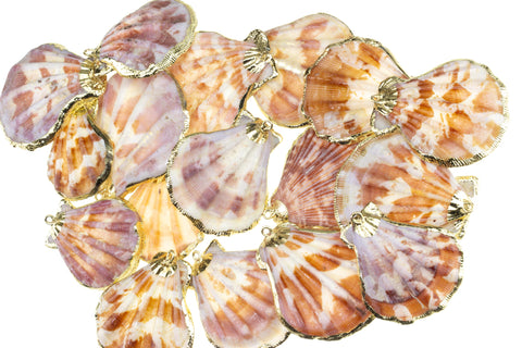 Natural Large Scallop Shell Charm,Sea Shells For Wind Chime And Jewelry Making,Natural Shell  Charm,Wholesale 1pc,5pcs or 10 pcs,,CPG736