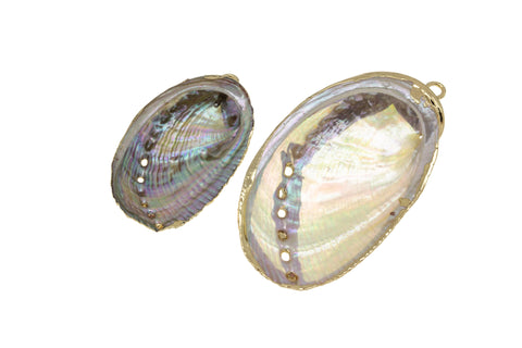 Natural Abalone Shell Charm,Natural Sea Shell Charm,Natural Sea Shell Charm, 1pc,5pcs,10 pcs,20pcs,CPG733