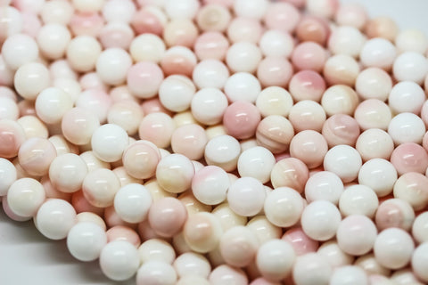 8mm Natural Queen Conch Round Beads, Full Strand, WHOLESALE